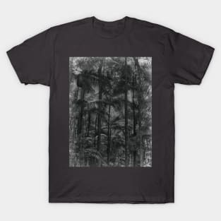 Bangalow Palms in the rainforest T-Shirt